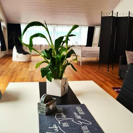 Muota River Loft & Muota Industry Apartment Near Stoos Muotathal Kültér fotó