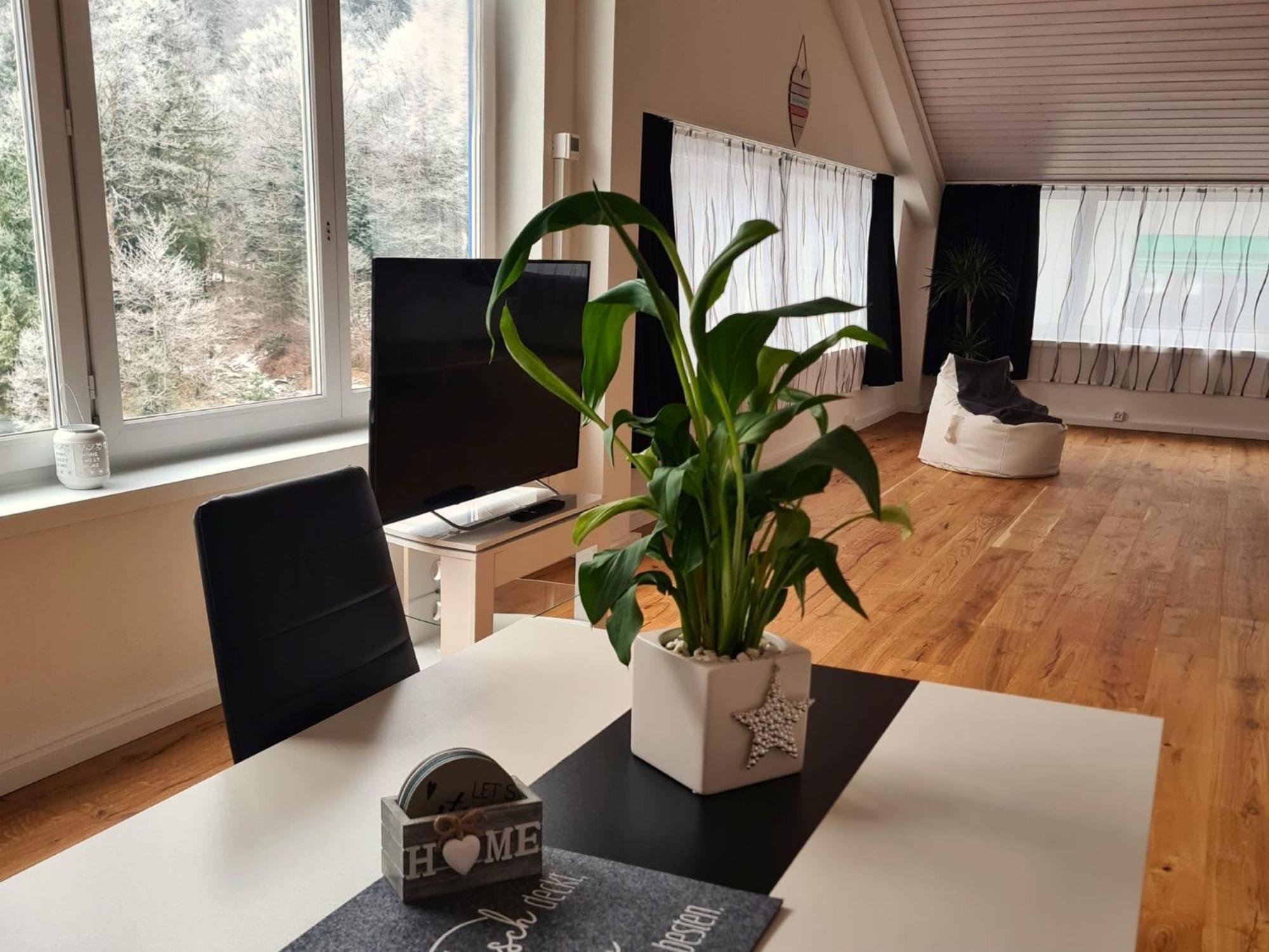 Muota River Loft & Muota Industry Apartment Near Stoos Muotathal Kültér fotó